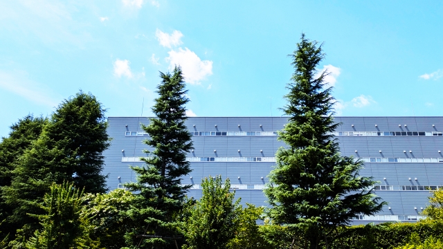 岡崎市 工場緑化 法律