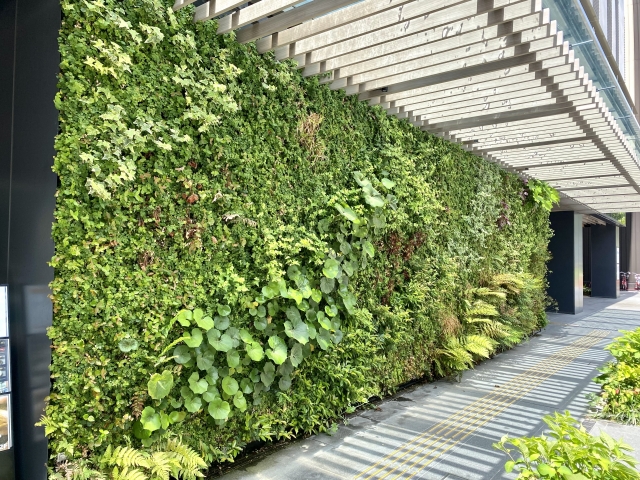 工場 省エネ 遮熱効果 緑化