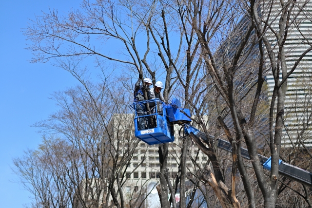造園業者 見直し タイミング